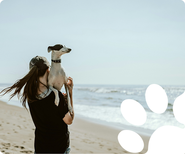 Reisen mit Hund