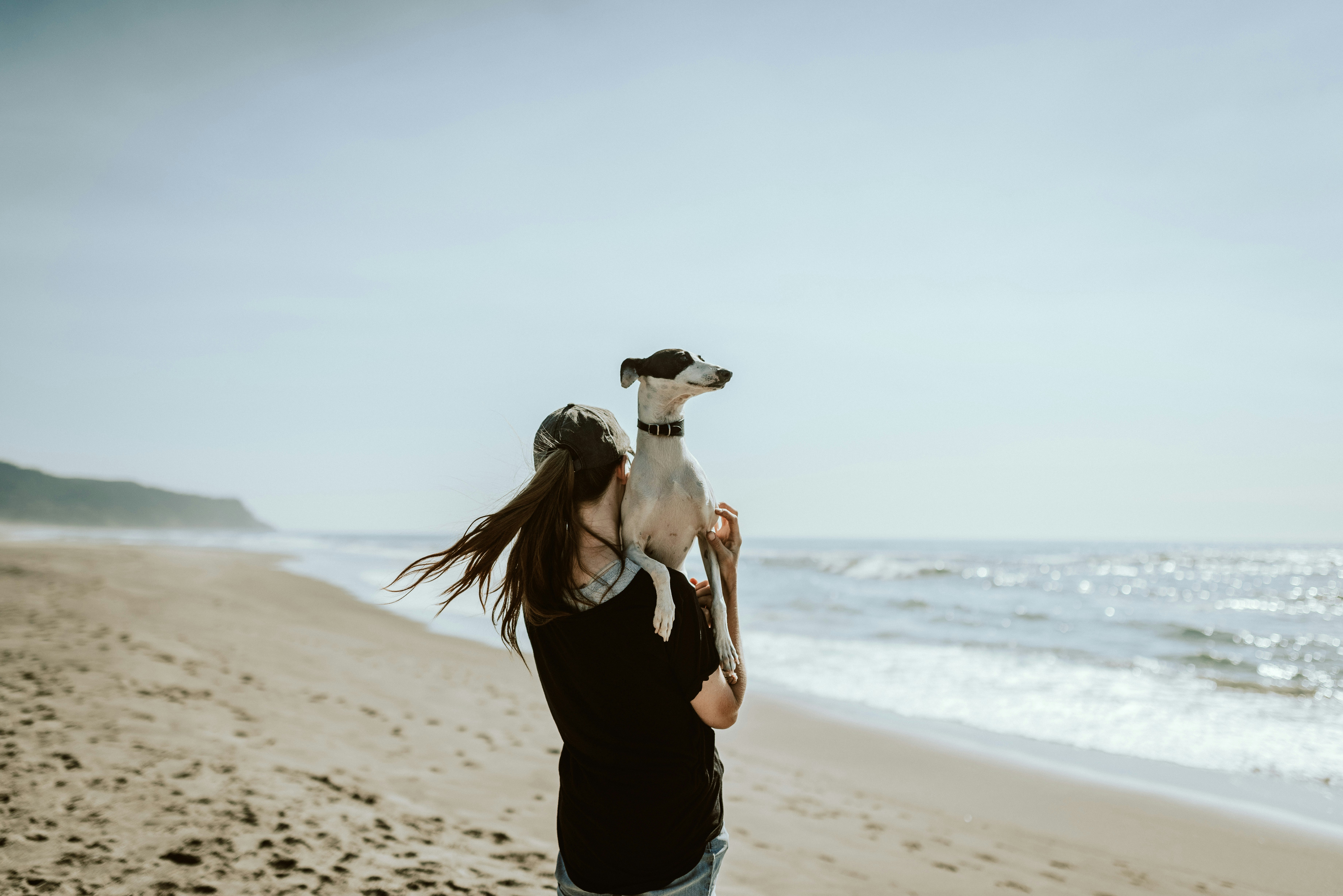 Reisevorbereitung mit Hund
