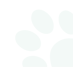 Paw Watermark