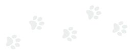Paw Group