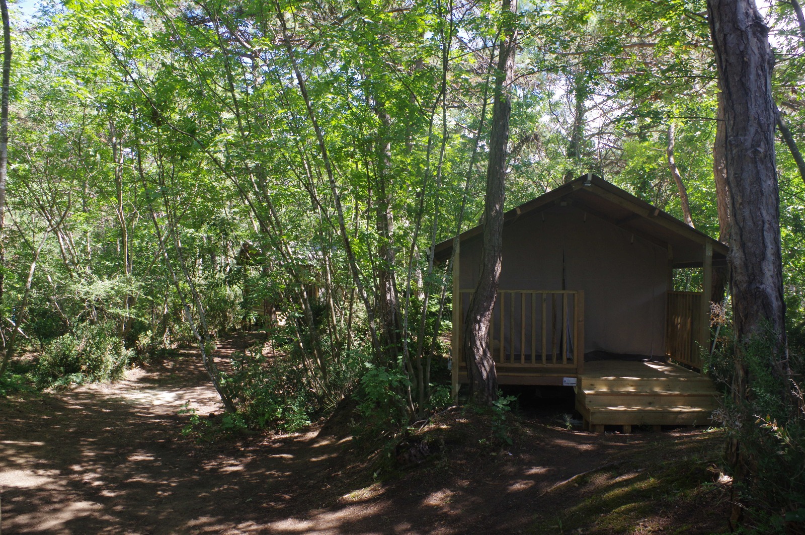 Glamping Boschetto