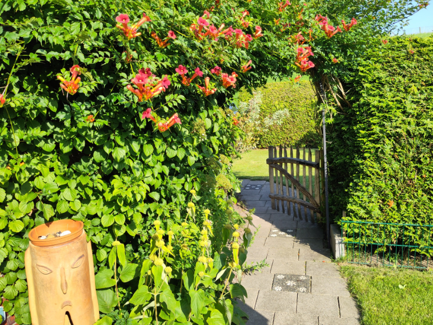 Wohnung "Luft und Wasser"