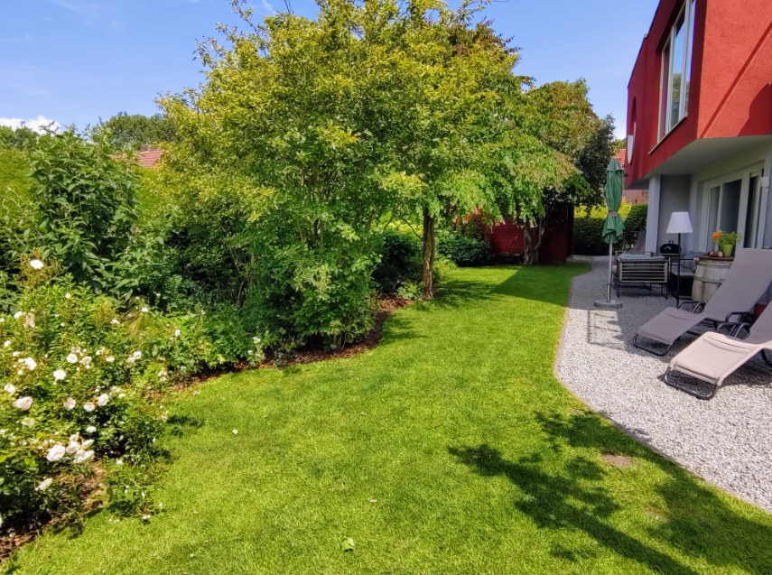 Wohnung "Grüne Insel"