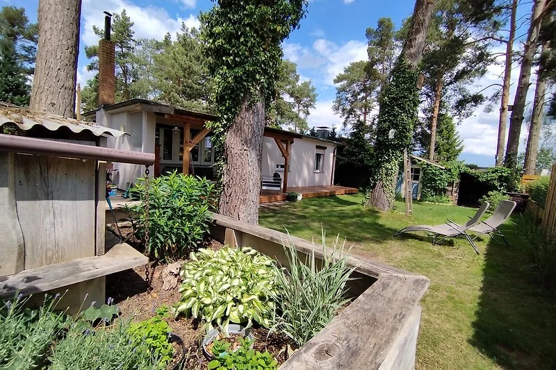 Ferienhaus mit Hund am Schwielochsee
