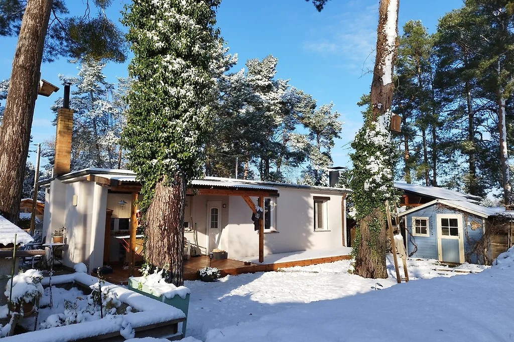 Ferienhaus mit Hund am Schwielochsee