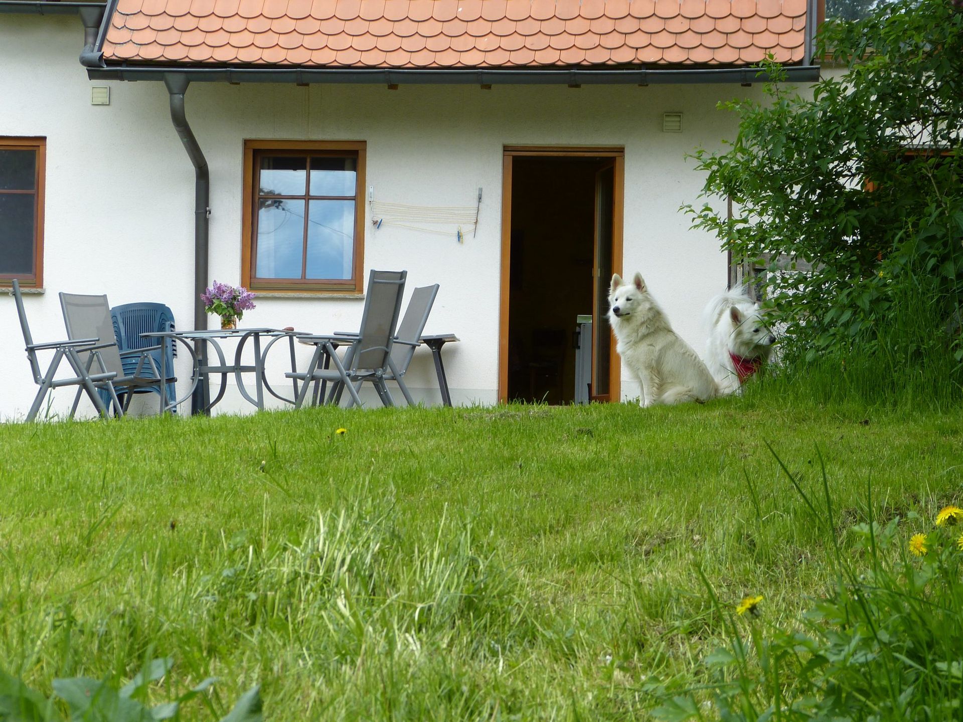 Apartment Kenia