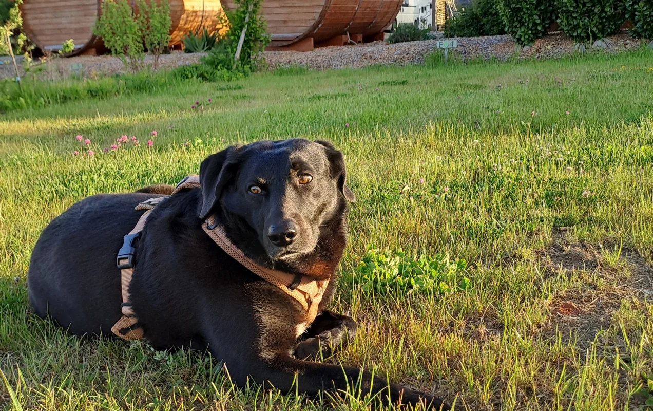 Holzfass