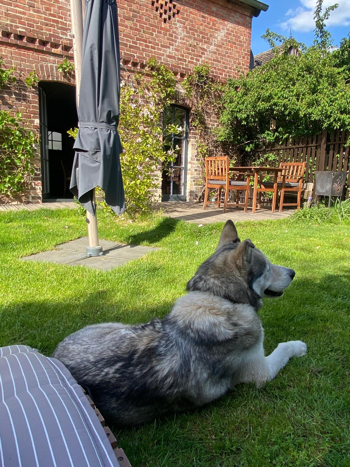 Hygge Haus